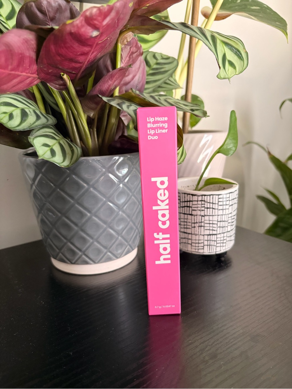 half caked Pink Lip Haze Blurring Lip Liner Duo